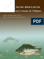 Protótipo - Tilapia em Bioflocos