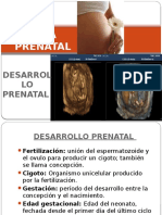 Psicología Del Embarazo