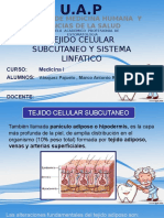 Medicina I - Tejido Celular Subcutaneo y Sistema Linfatico