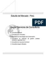 Consultoría - Perú PDF