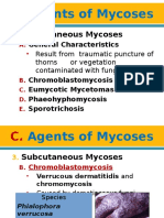 MycoViro 2