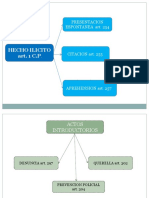 Esquemas de Procesal Penal II