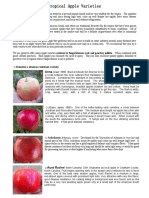 Tropical Apple Varieties