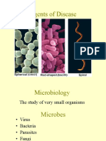 8 L 1 1-Viruses Bacteria Fungi and Parasites