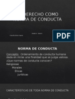 El Derecho Como Norma de Conducta 22032016 237055