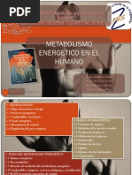 2752 Examen 3 Metabolismo Energetico en El Humano Eq 4