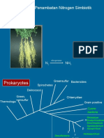 Bioteknologi Penambatan Nitrogen Simbiotik: Nitrogenase