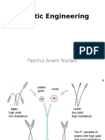 Genetic Engineering: Fatchul Anam Nurlaili