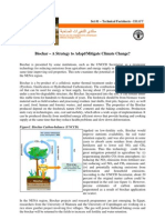 A Strategy To Adapt and Mitigate Climate Change