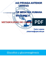 Metabolismo de Carbohidratos