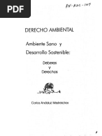 Libro Ambiente Sano Desarrollo Sost.