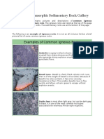 Igneous Metamorphic Sedimentary Rock Gallery