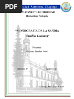 Monografia de Sandia