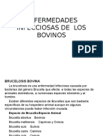 2 Enfermedades Infecciosas de Los Bovinos