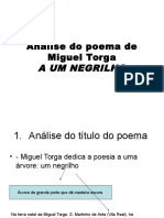 A Um Negri Lho de Miguel Torga