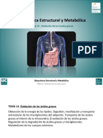 Tema 14. Oxidacion de Acidos Grasos