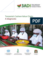 Cashew Value Chain Diagnostics