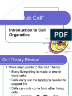 Cell Organelles