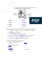 Repaso para Examen 2-Respuestas