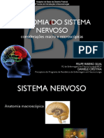 Anatomia Macro e Micro Do SN PDF