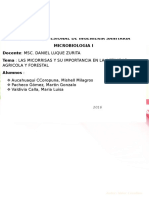 Las Microrisas y Su Importancia en La Actividad Agricola y Forestal