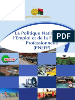 La Politique Nationale de L'emploi Et de La Formation Professionnelle (PNEFP)