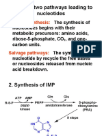 There Are Two Pathways Leading To Nucleotides: de Novo Synthesis