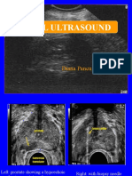 Renal Ultrasound: Diana Pancu, MD