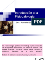 Introduccion A La FSP