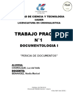 Ejemplo Pericia Documentologica