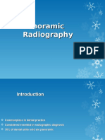 Principle of Panormic