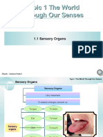 Chapter 1 Sensory Organs