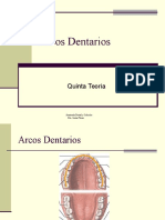 Clase 5 Arcos Dentarios