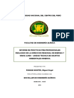 Primer Informe de Practicas Preprofesionales