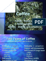 2 4coffee