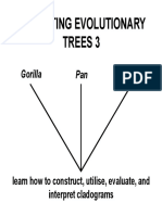 Estimating Evolutionary Trees 3: Gorilla Pan Homo