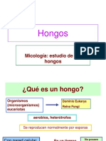 A. Generalidades de Los Hongos