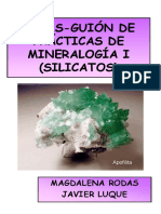 Guión de Silicatos - Todas y Luque PDF