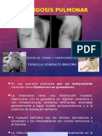 Hidatidosis Pulmonar Final