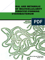 Cianobacteria PDF