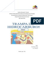 Trampas de Hidrocarburos Ensayo