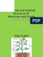 Plant Morphology