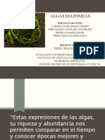 Exposicion Diatomeas