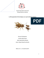 Microganaderia Entomologica