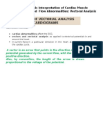 Electrocardiographic Interpretation of Cardiac Muscle