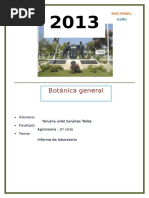 Informe de Botanica General 1