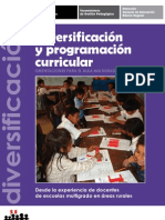 Guía - Diversificación Curricular (Fuente MINEDU)