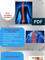 Columna Clinico