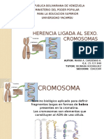 Herencia Ligada Al Sexo Cromosomas