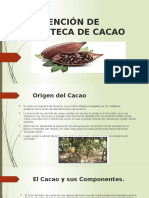 Diapos de Estraccion de Cacao 1